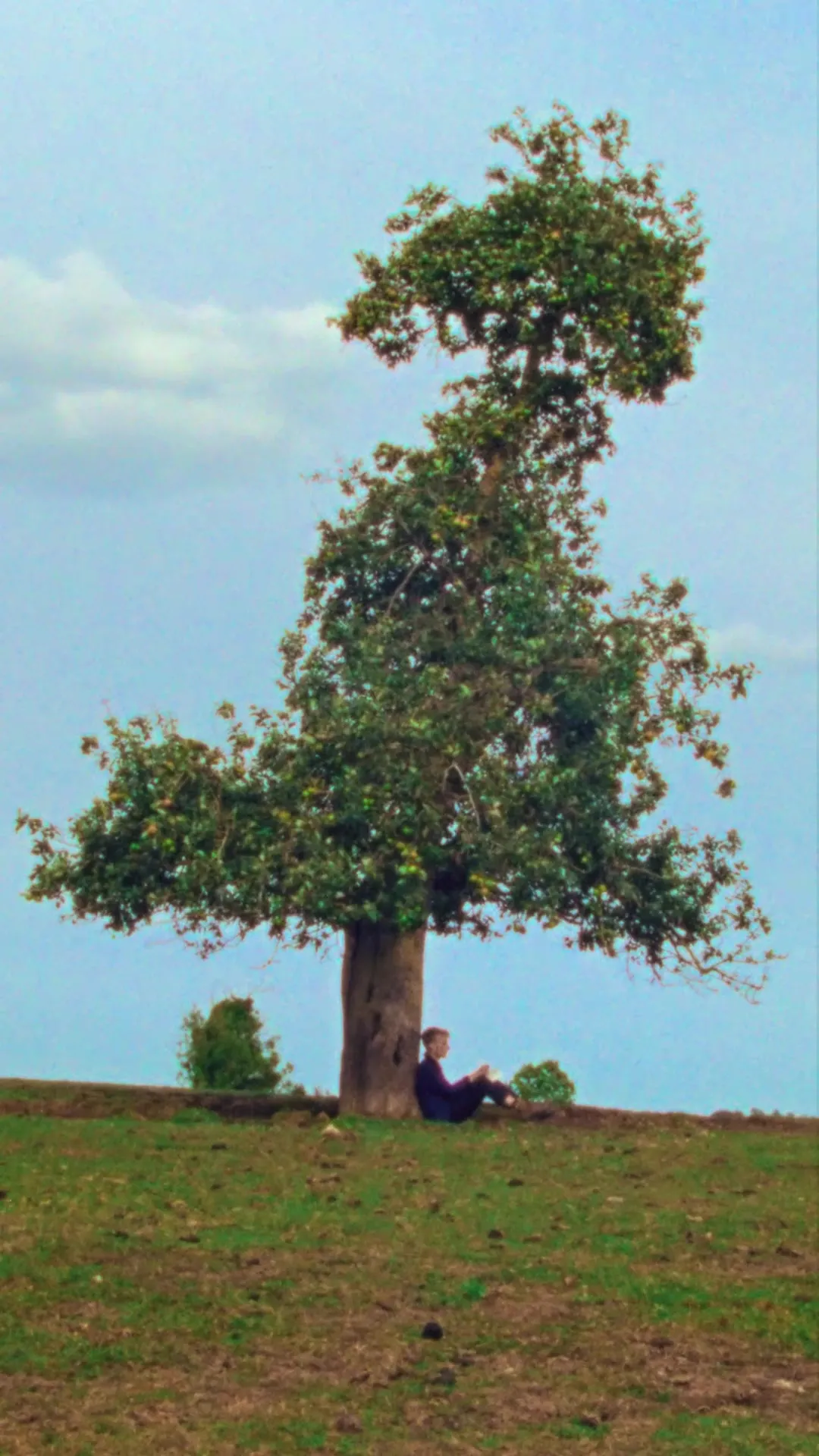 Still from The Search for Autumn